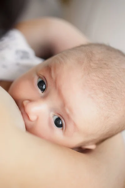 Retrato da mãe amamentando seu bebê infantil — Fotografia de Stock