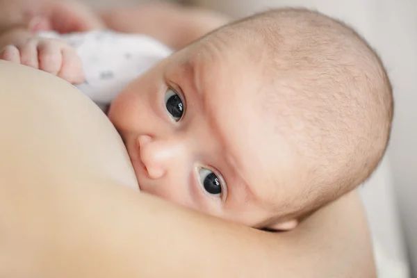 Portret matki piersi żywienie dziecka niemowlę — Zdjęcie stockowe