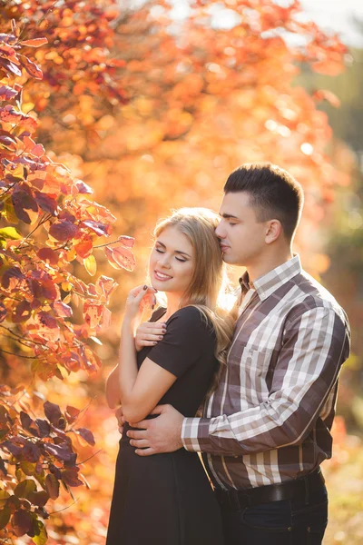 Ritratto di una giovane coppia nel parco autunnale — Foto Stock