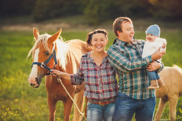 Семья кормит лошадей на лугу — стоковое фото