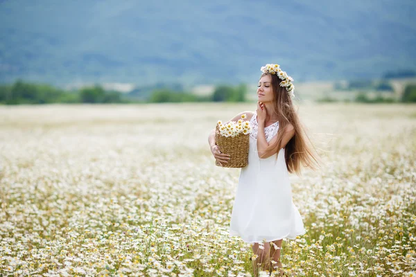 Menina bonita no campo de camomila — Fotografia de Stock