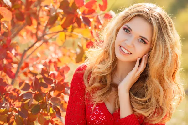 Portret van mooie jonge vrouw in herfstpark. — Stockfoto