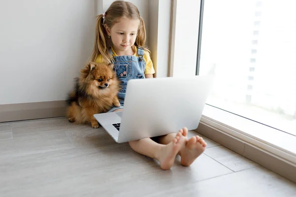 Evde dizüstü bilgisayarı ve köpeği olan sevimli küçük bir kız. — Stok fotoğraf