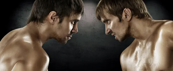 daha önce kavga dövüş sanatçıları karma mma-