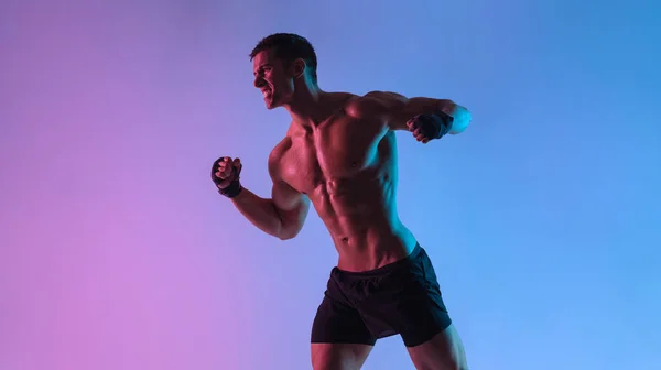 Boxkonzept. Sportler Muay Thai Boxer, der in Handschuhen kämpft. Vereinzelt auf Neon-Hintergrund. Kopierraum. — Stockfoto
