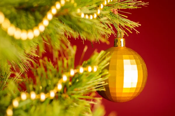 Christmas tree — Stock Photo, Image