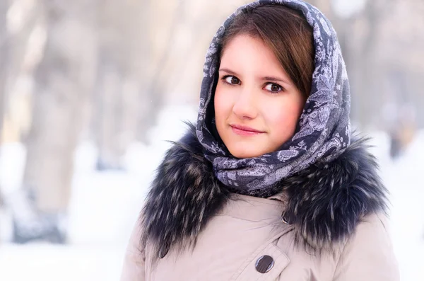 Vrouw in winterpark Stockfoto