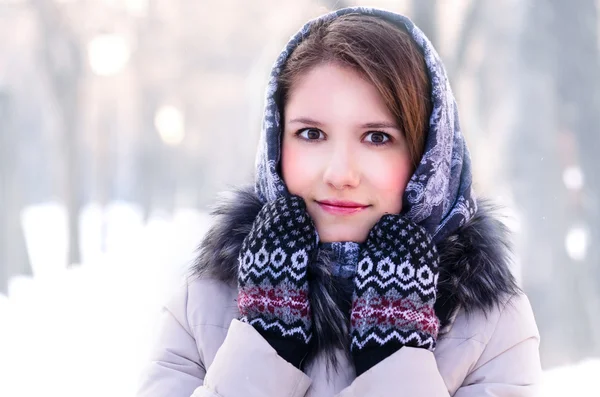Vrouw in winterpark Stockfoto
