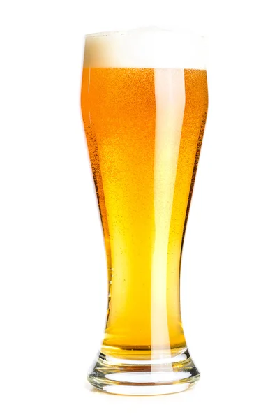 Lager beer — Stock Photo, Image