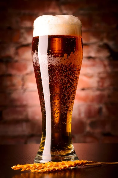 Glass of lager — Stock Photo, Image