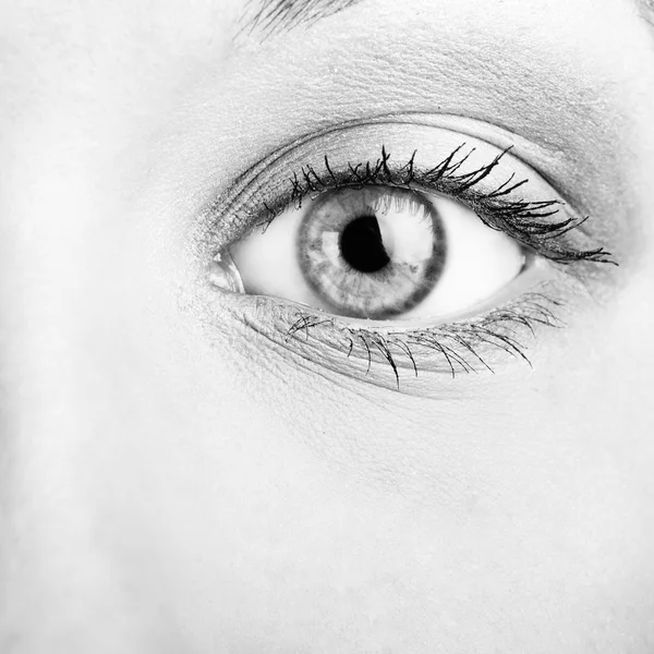 Female eye — Stock Photo, Image