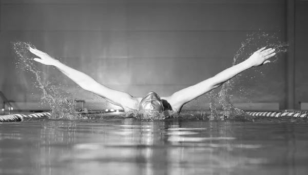 Butterfly stroke Stock Picture