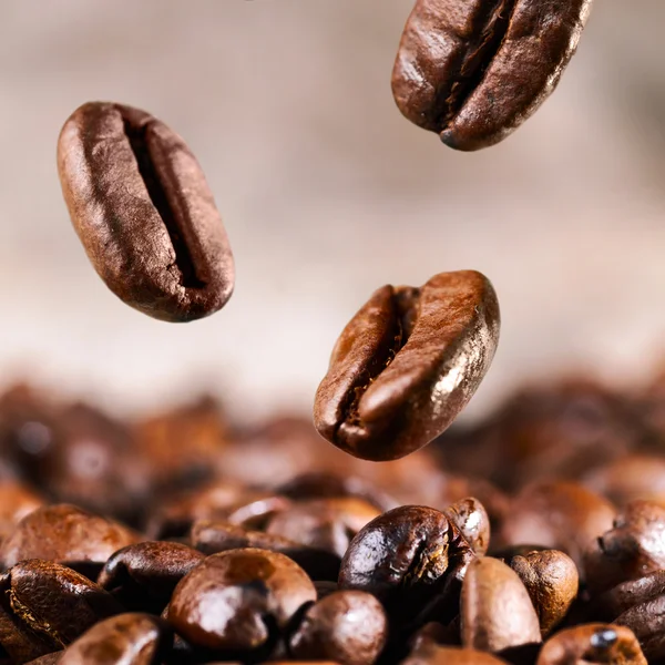 Coffee beans — Stock Photo, Image