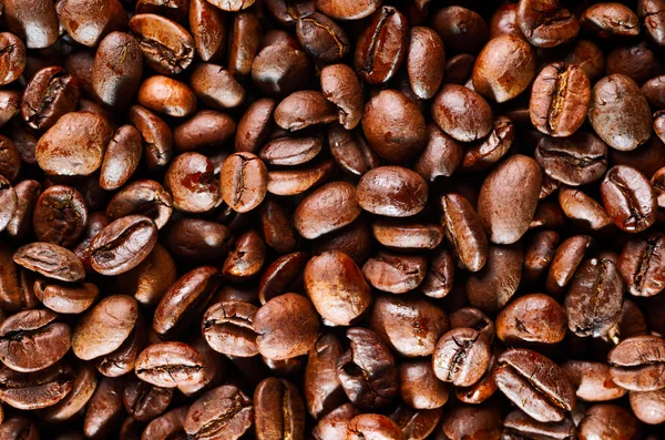 Coffee beans — Stock Photo, Image