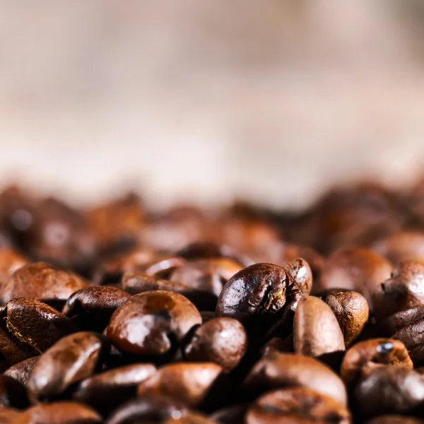 Coffee beans — Stock Photo, Image