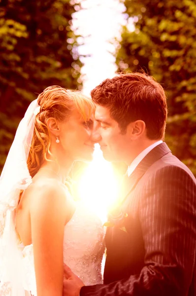 Matrimonio bacio tramonto — Foto Stock