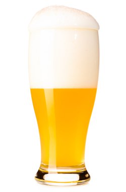 taze filtre uygulanmamış bira