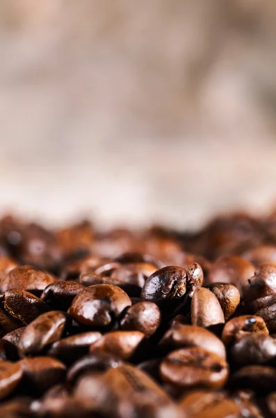 Coffee beans — Stock Photo, Image