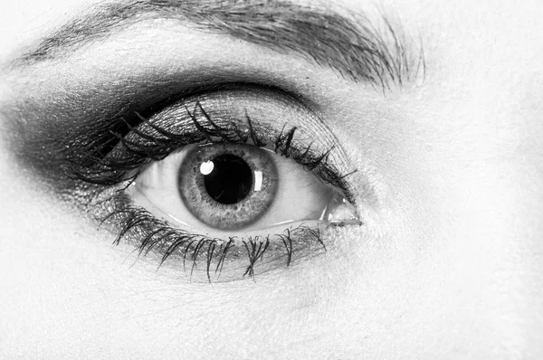 Oeil Au Beurre Noir Images Libres De Droit Photos De Oeil Au Beurre Noir Depositphotos