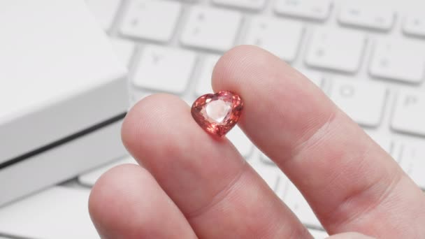 Compras online de jóias com turmalina em forma de coração — Vídeo de Stock