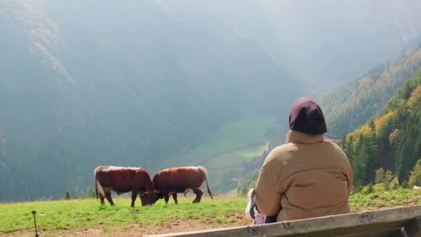 Woman Watching Cows Logar Valley View Cloudy October Mountain Valley — Vídeo de Stock