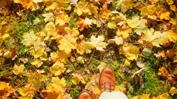 Autumn Walk City Park Fallen Foliage Male Feet Walking Leather — Vídeo de Stock