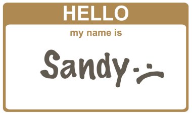adı sandy