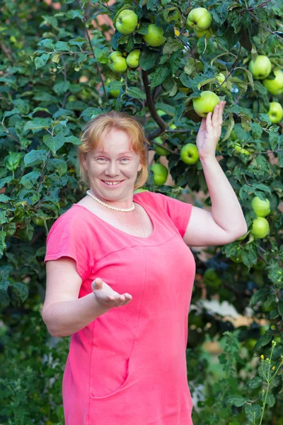 Kobieta i jabłoń — Zdjęcie stockowe