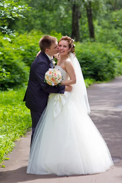 Der Bräutigam küsst die Braut — Stockfoto