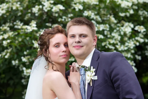 Bride and groom — Stock Photo, Image