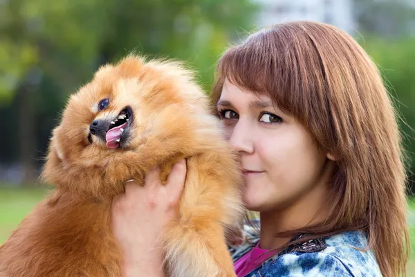 Giovane donna in possesso di una pomerania — Foto Stock