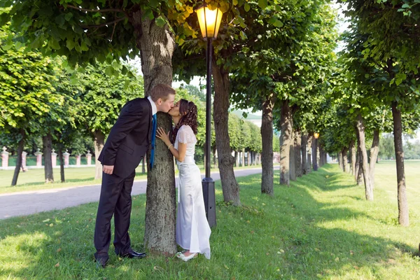 Portrait of newlyweds kissing near a tree — Stock Photo, Image