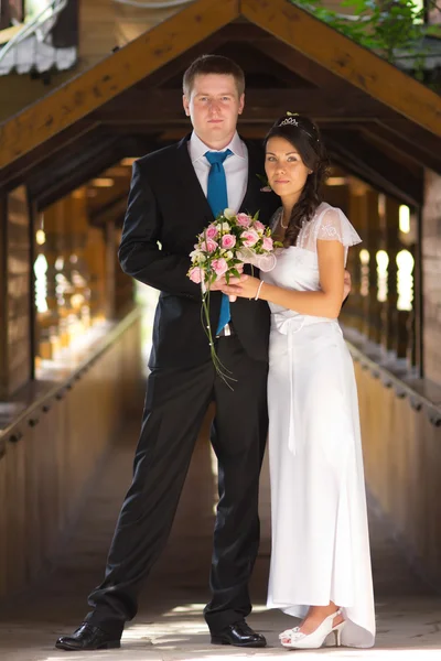 Frischvermählte im Porträt — Stockfoto