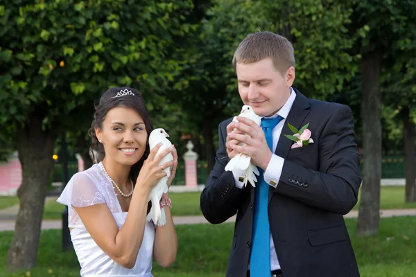 Portrait of bride and groom in the hands of the doves — Stock Photo, Image