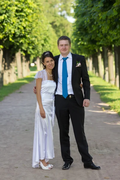 Newlyweds at the alley — Stock Photo, Image