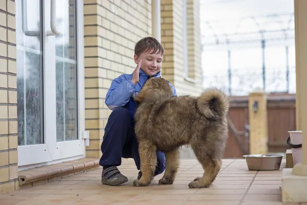 Jongen en puppy Tibetaanse mastiff — Stockfoto