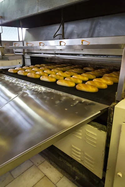 Production of bread in factory — Stock Photo, Image