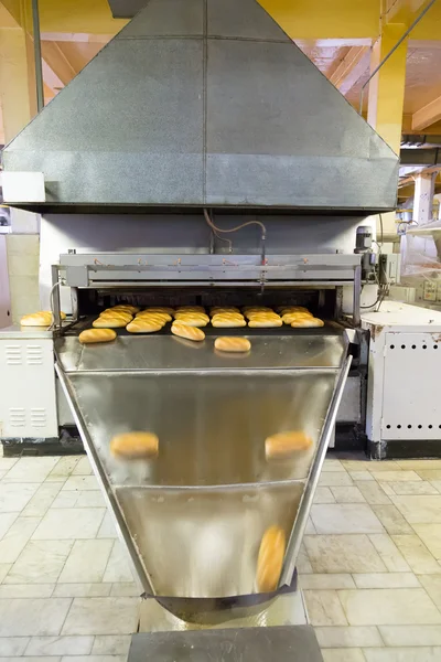 Production of bread in factory — Stock Photo, Image