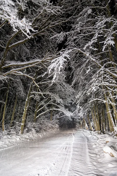 Carretera nocturna en bosque de invierno —  Fotos de Stock