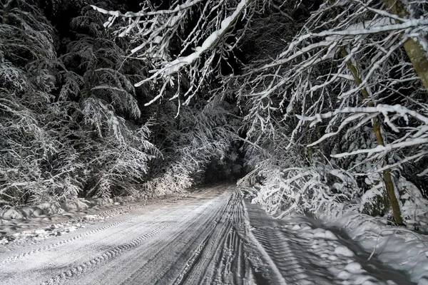 Ночная дорога в зимнем лесу — стоковое фото
