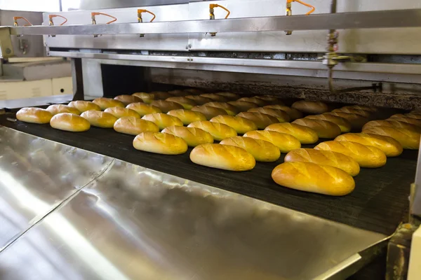 Production de pain en usine — Photo