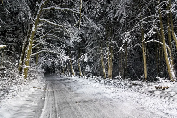 Night road in winter forest — Stock Photo, Image
