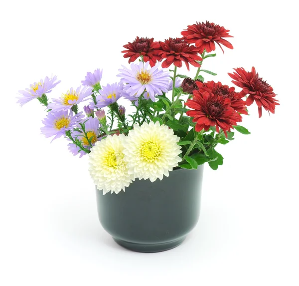 Flower Bouquet — Stock Photo, Image