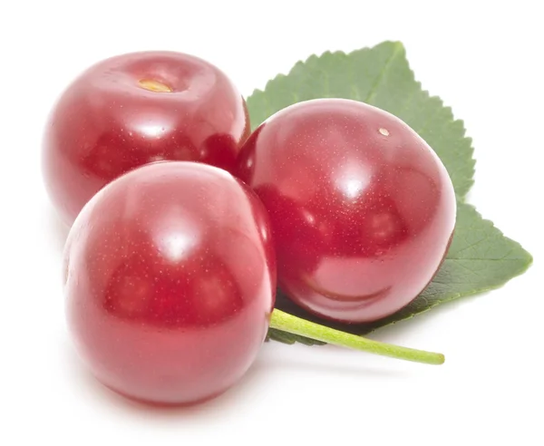 Färska röda körsbär med gröna blad — Stockfoto