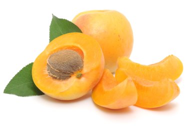 yaprakları ile kayısı.