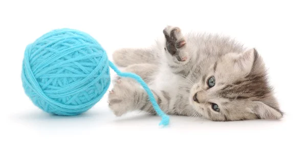 Kat met bal van garen — Stockfoto