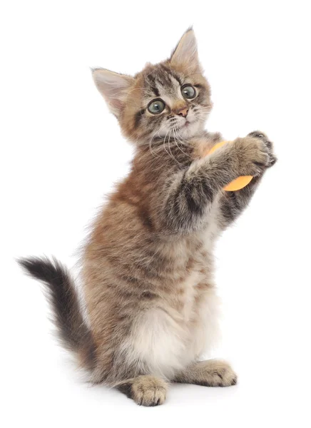 Kitten Playing with Ball — Stock Photo, Image