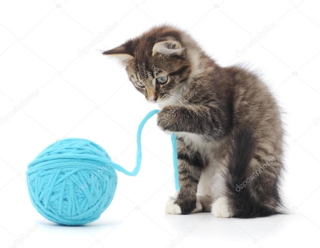 cat and ball of yarn