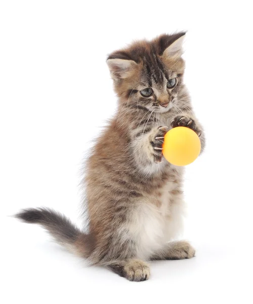 Gatinho jogando com bola — Fotografia de Stock