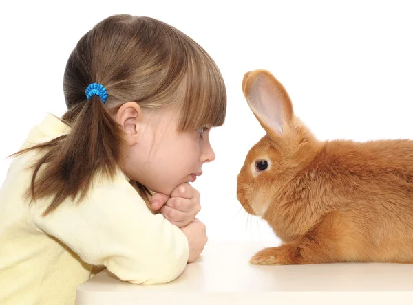 Niña y conejo marrón — Foto de Stock